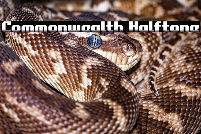 Commonwealth Halftone Example 1