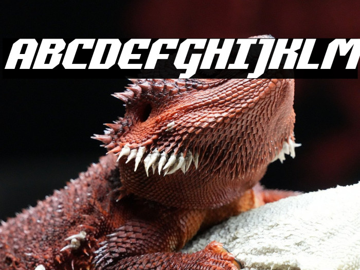 Commonwealth Italic Example 1