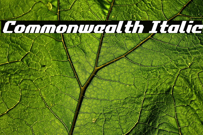 Commonwealth Italic Example 2