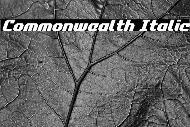 Commonwealth Italic Font examples
