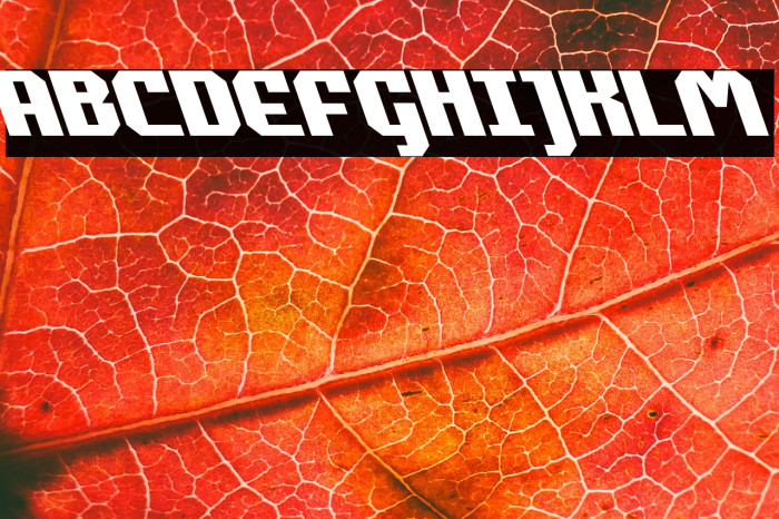 Commonwealth Leftalic Example 3