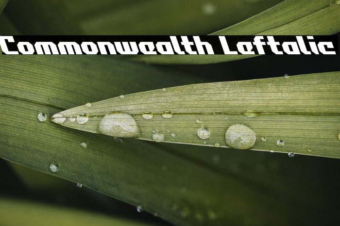 Commonwealth Leftalic Example 2