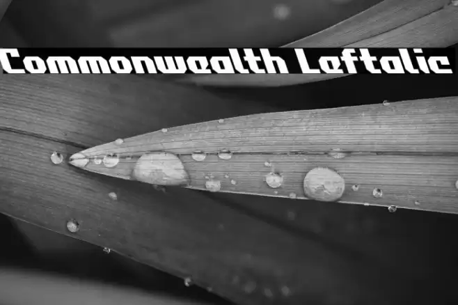 Commonwealth Leftalic Font examples