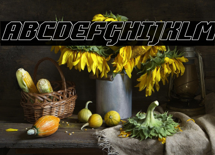 Commonwealth Outline Italic Example 3