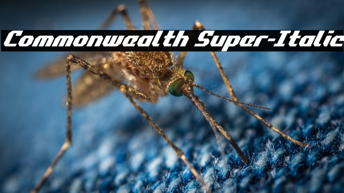 Commonwealth Super-Italic Example 1