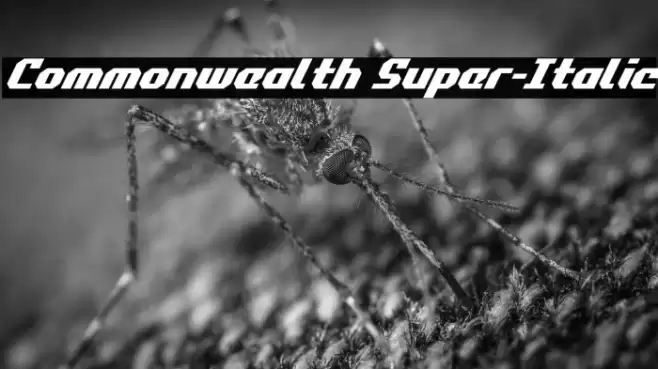 Commonwealth Super-Italic Font examples