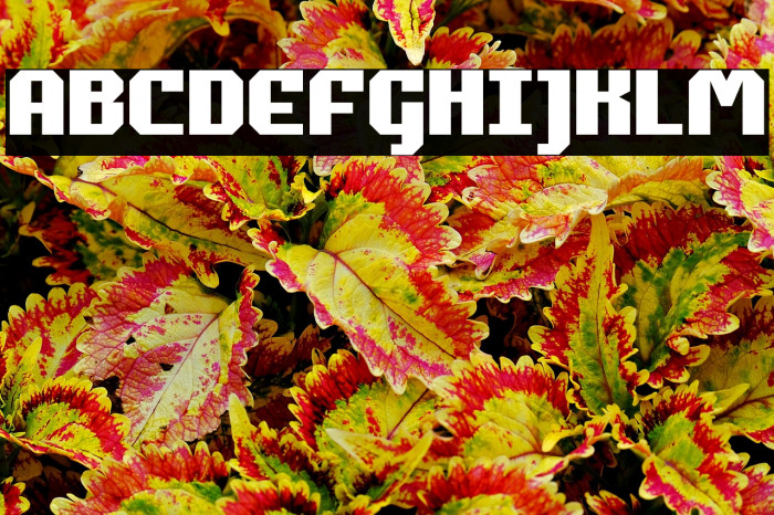 Commonwealth Example 2