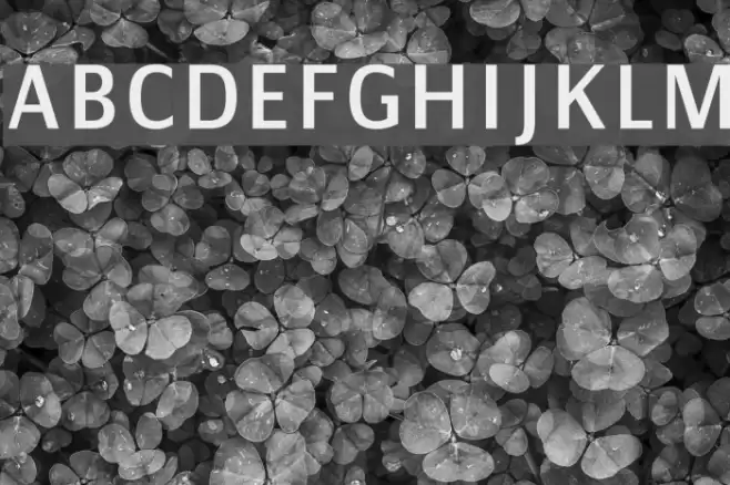 Communist Sans Font examples