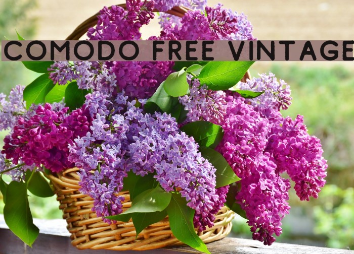 Comodo Free Vintage Font examples