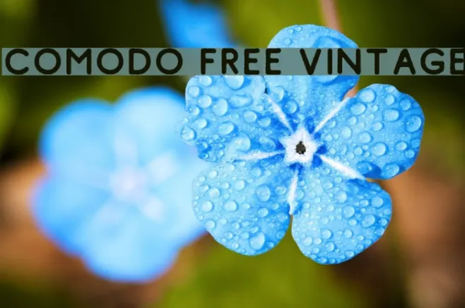 Comodo Free Vintage Example 3