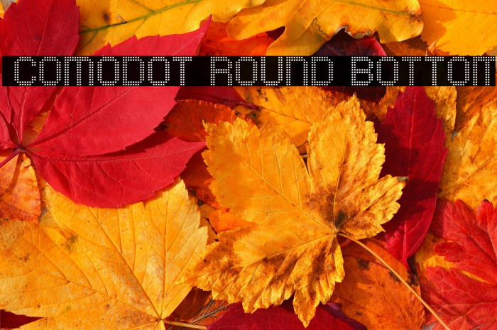 Comodot Round Bottom Example 2