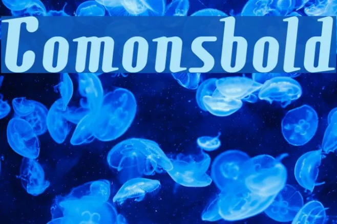 Comonsbold Example 1
