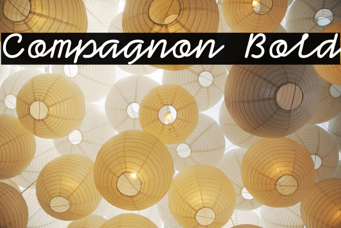Compagnon Bold Example 1