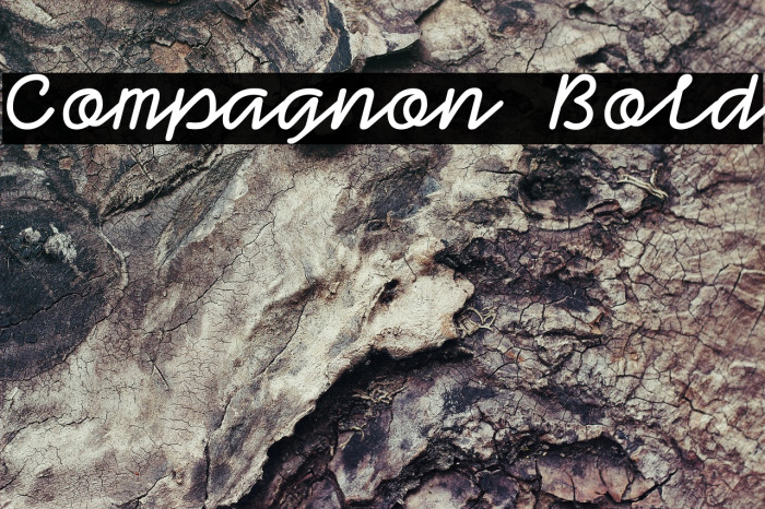 Compagnon Bold Example 3