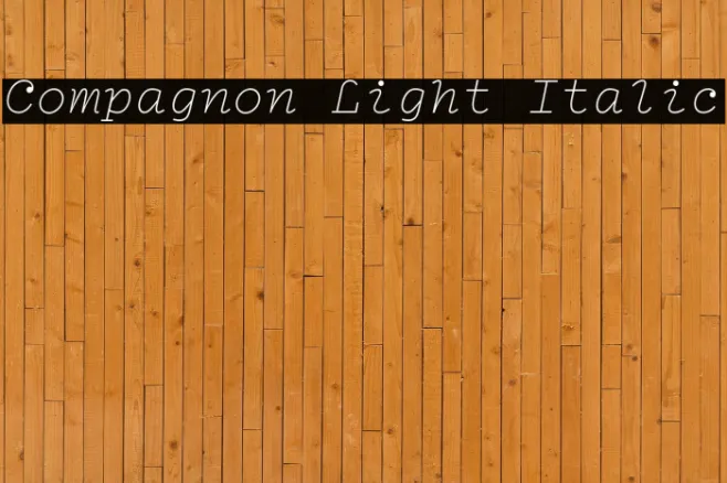 Compagnon Light Italic Example 1
