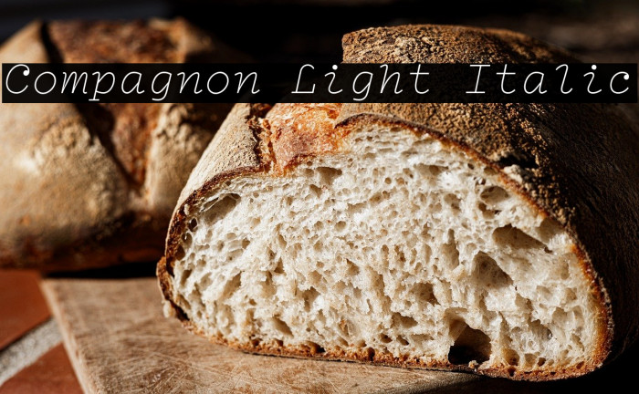 Compagnon Light Italic Example 3
