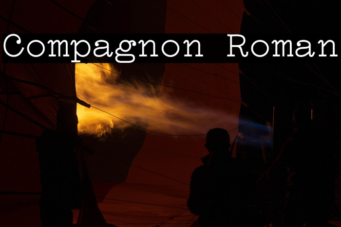 Compagnon Roman Example 1