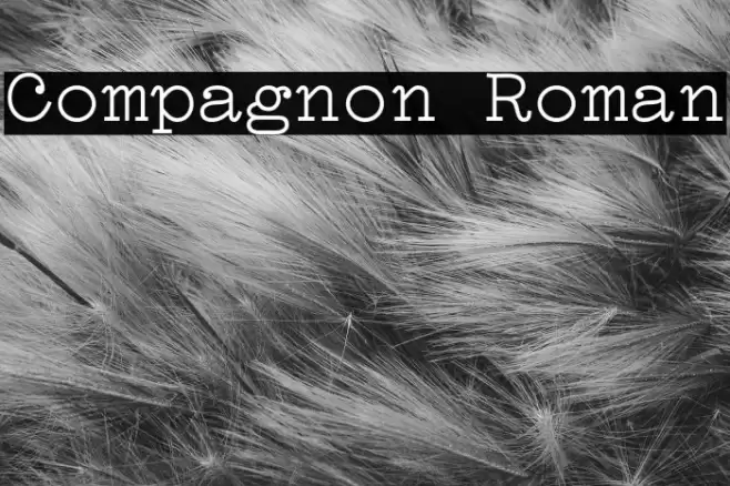 Compagnon Roman Font examples