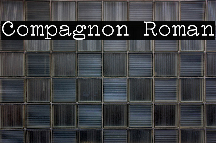 Compagnon Roman Example 3