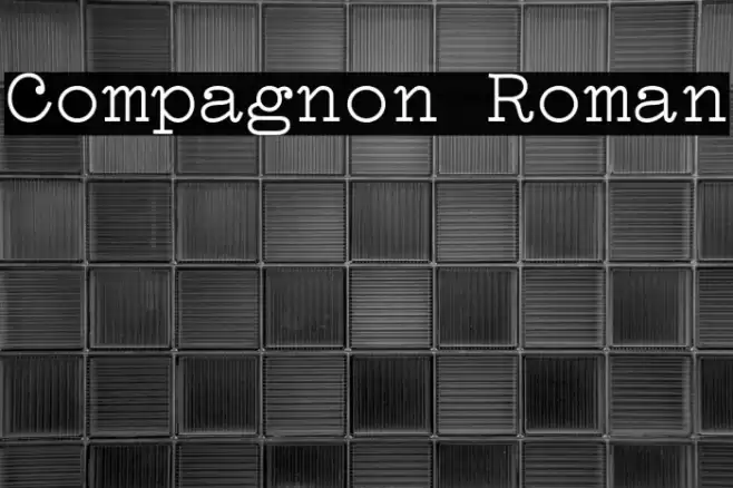 Compagnon Roman Font examples