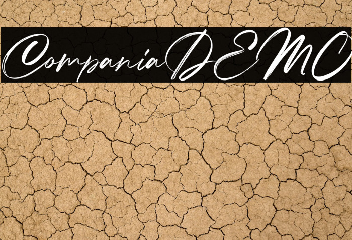 CompaniaDEMO Example 1