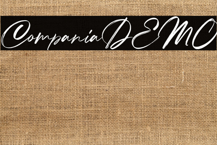 CompaniaDEMO Example 2