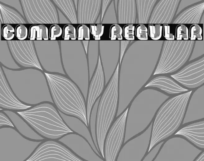 Company Regular Font examples