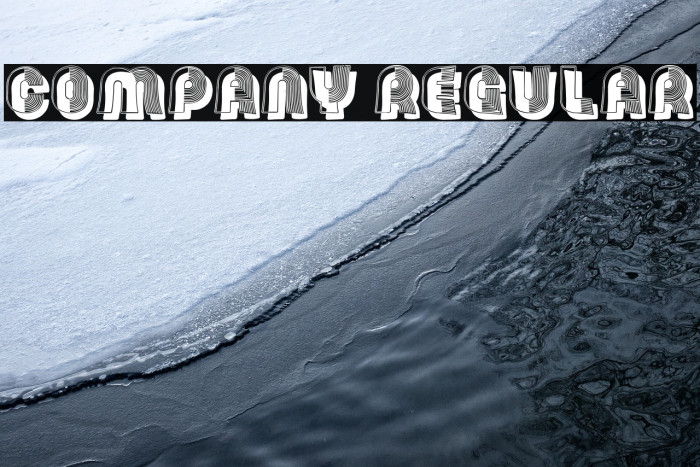 Company Regular Example 2