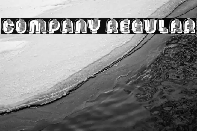 Company Regular Font examples