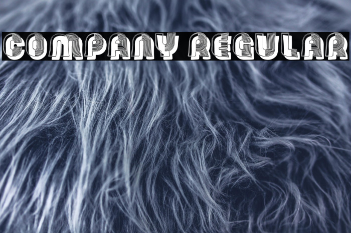 Company Regular Example 3