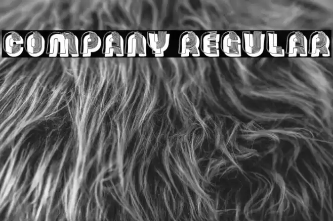 Company Regular Font examples
