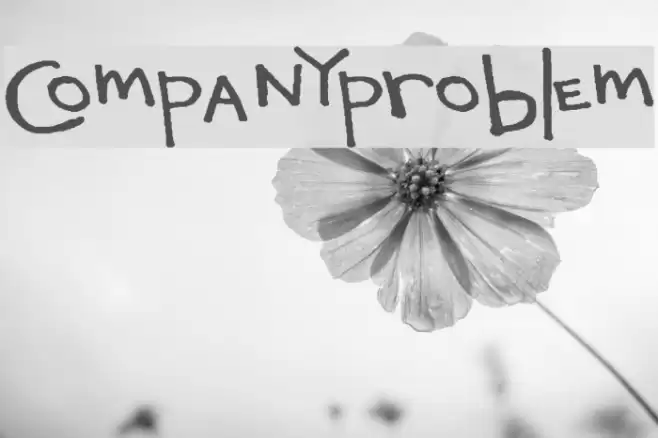 CompanyProblem Font examples