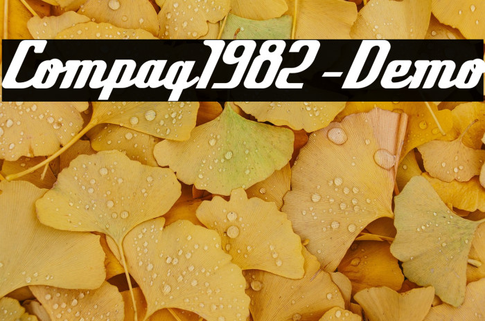 Compaq1982-Demo Example 1