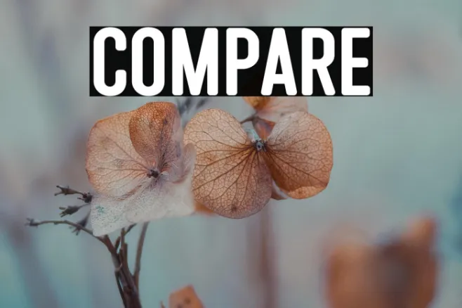 Compare Example 1