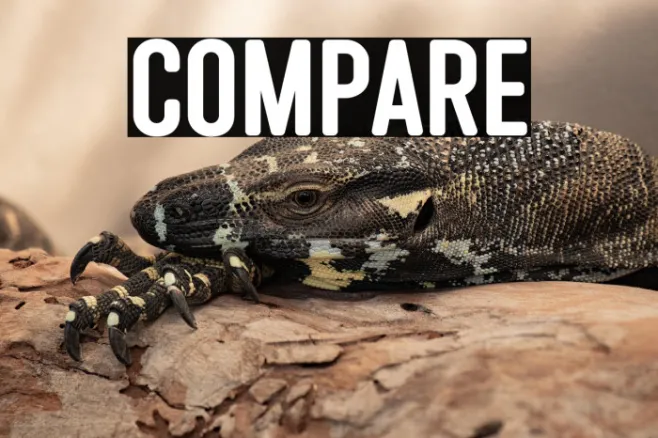 Compare Example 2