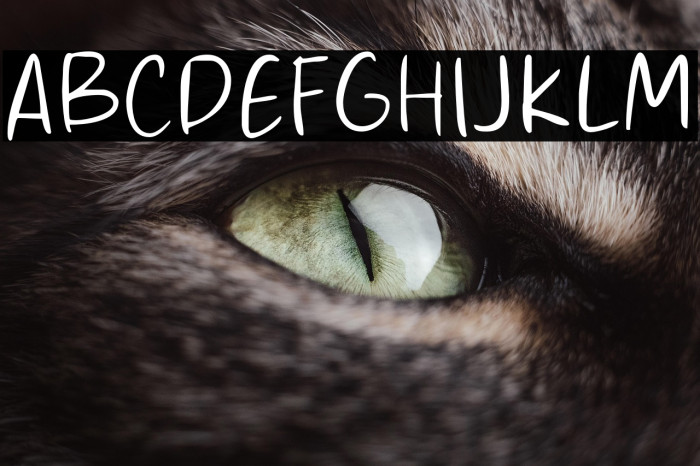 Compass Book Example 2