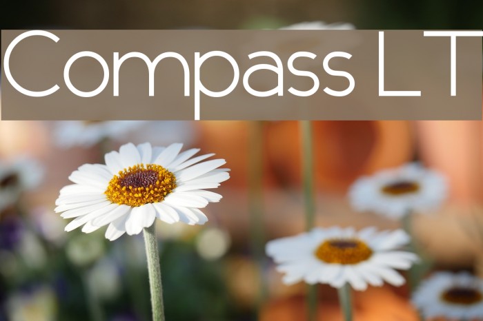 Compass LT Font examples