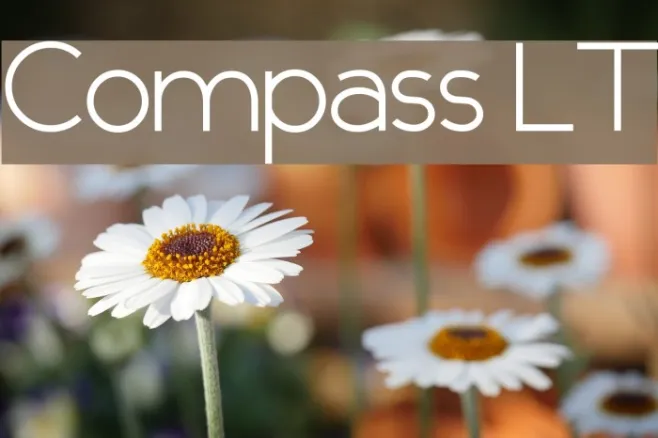 Compass LT Example 3