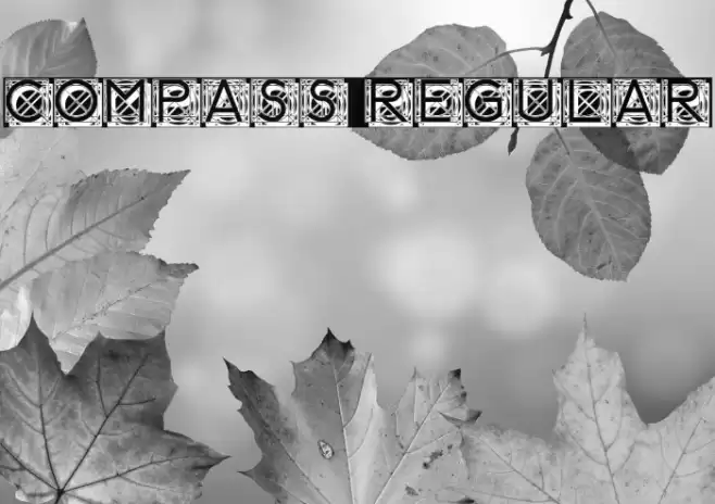 Compass Regular Font examples