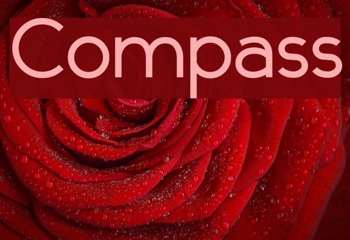 Compass Font examples