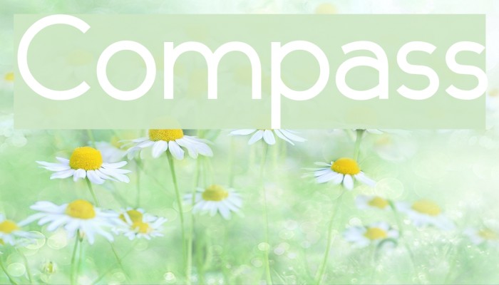 Compass Font examples
