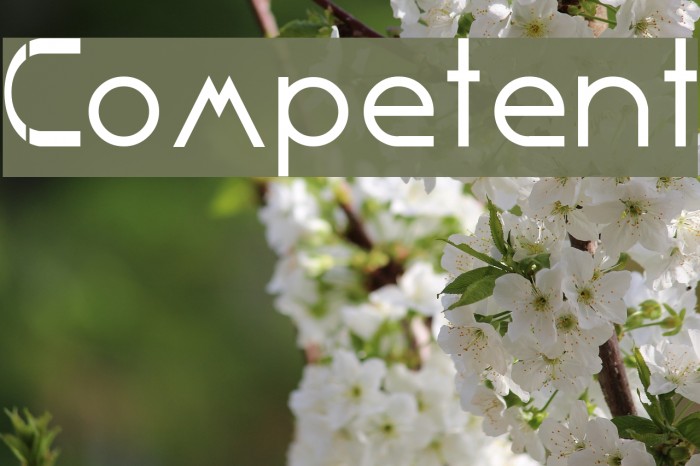 Competent Font examples