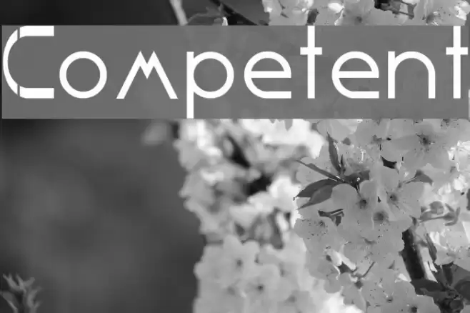 Competent フォント examples