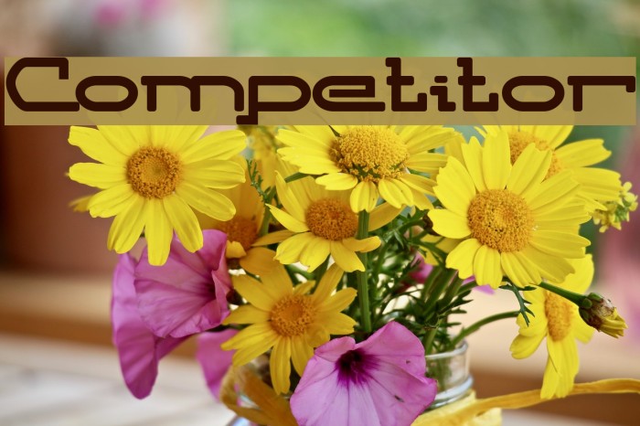 Competitor Example 2