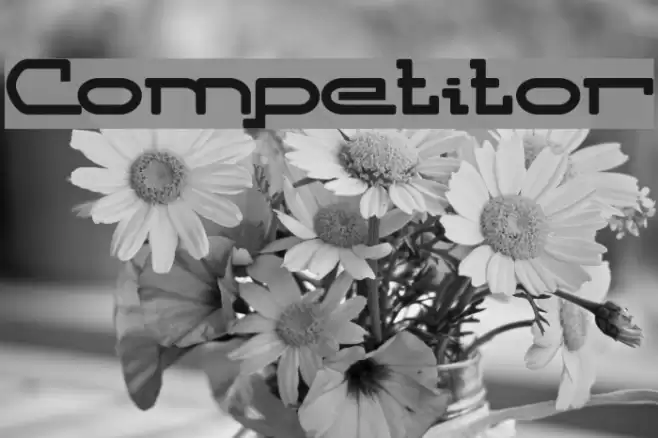Competitor Font examples