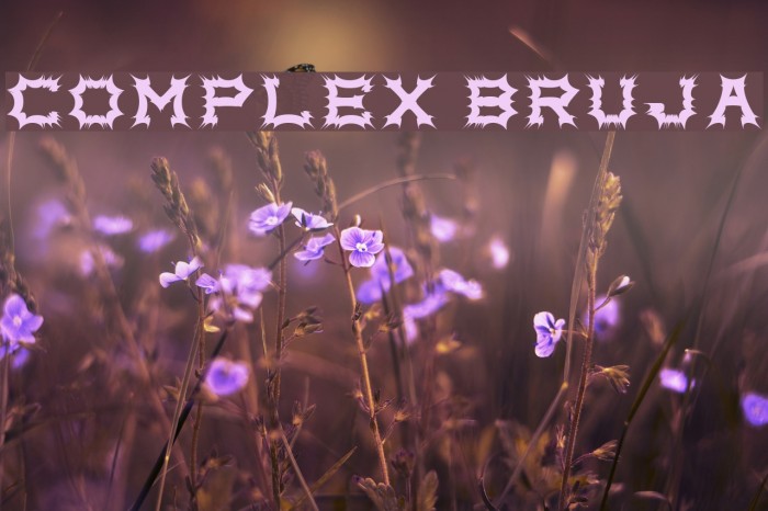Complex bruja Font examples