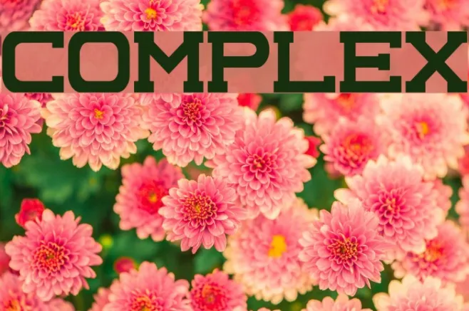 Complex Example 2