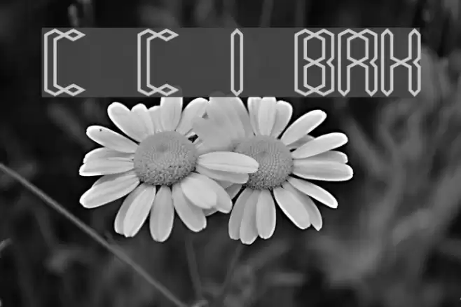 Compliant Confuse 1o BRK Font examples