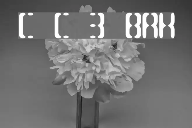 Compliant Confuse 3s BRK フォント examples