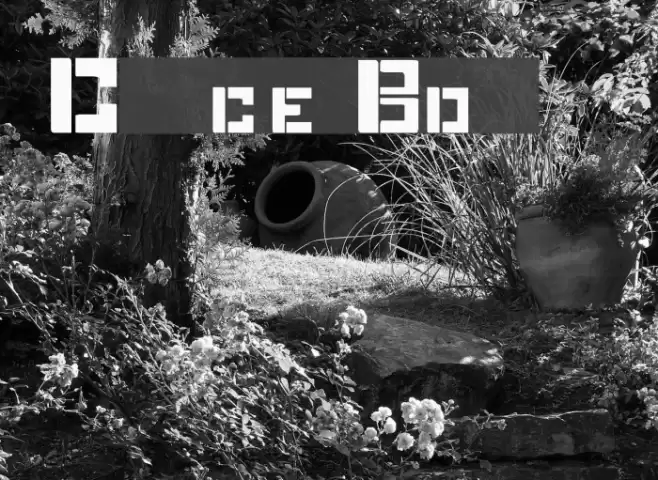 Complice Bold Font examples